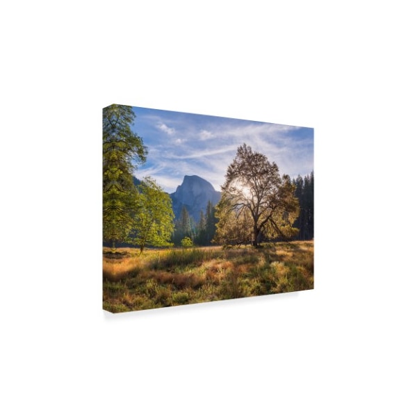 Adam Burton 'Cooks Meadow' Canvas Art,18x24